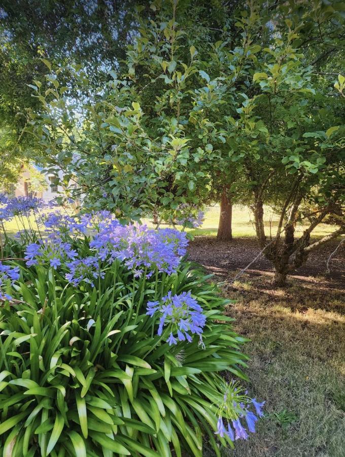 Frog Hollow Estate- The Retreat - Newly Renovated One Bedroom Retreat With Queen Bed *
